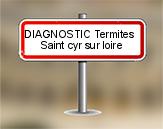 Diagnostic Termite AC Environnement à Saint Cyr sur Loire